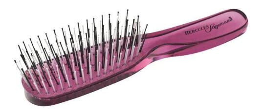 Hercules Sägemann Scalp Brush Mini Lilla Hercules Sägemann Scalp Brush Mini Lilla