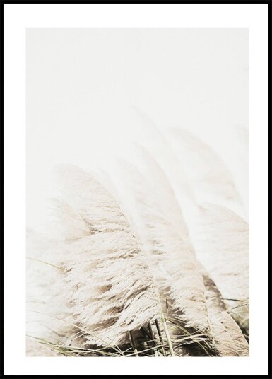 Reed In Wind Plakat Plakat / 70x100cm