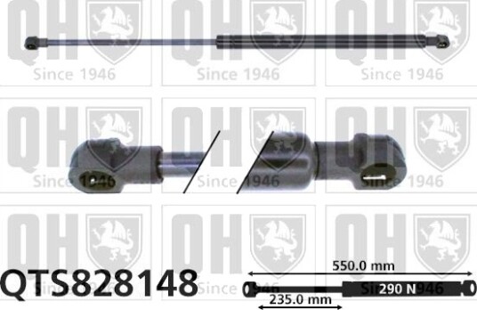 QUINTON HAZELL QTS828148 Baklukedemper
