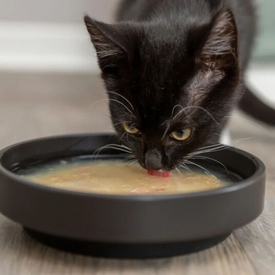 Trixie Suppe Till Katt Med Kylling Og Laks 80 G