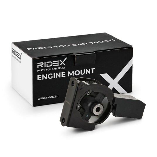 Motorfeste RIDEX 247E1071