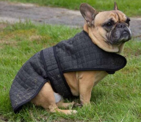 Catago Cooler Hundedekken Sort