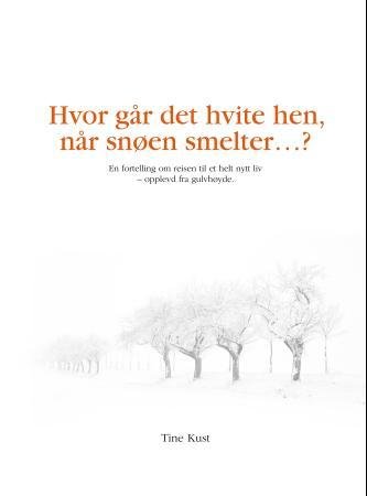 Hvor går det hvite hen, når snøen smelter?