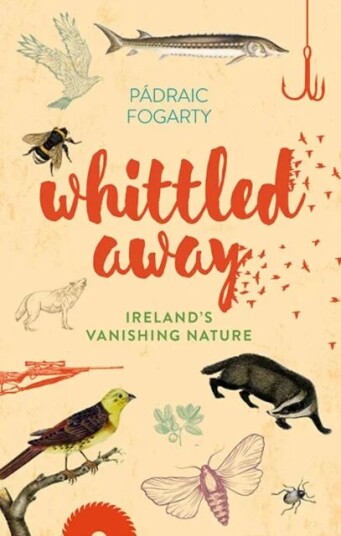 Whittled Away Av Padraic Fogarty
