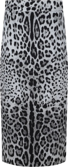 Dolce & Gabbana Dame Skjørt Flerfarget S,