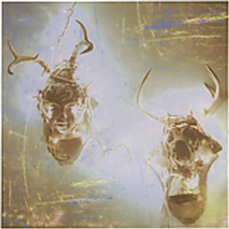 Minus Story Heaven & Hell CD