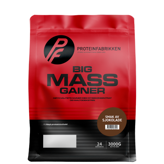 Big Mass Gainer 3000 g Big Mass Gainer 3000 g