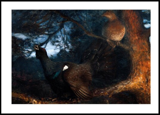 The Mating of the Capercaillies By Bruno Liljefors Plakat Plakat / 100x150cm
