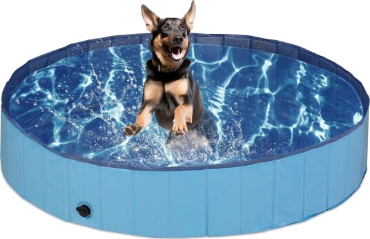 Rxs Blå Hundebasseng