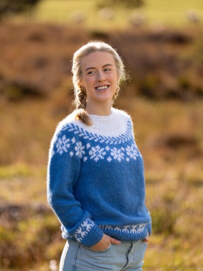Garnius 421V 1 Celine genser Garnius 421V 1 Celine genser