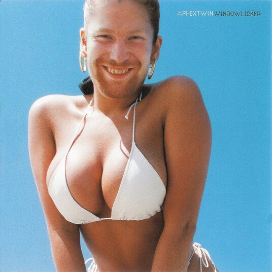 Aphex Twin Windowlicker EP CD Aphex Twin Windowlicker EP CD