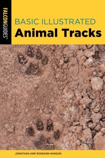 Basic Illustrated Animal Tracks Av Jonathan Hanson, Roseann Hanson