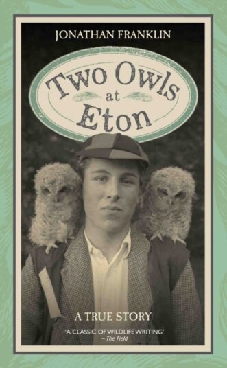 Two Owls at Eton
