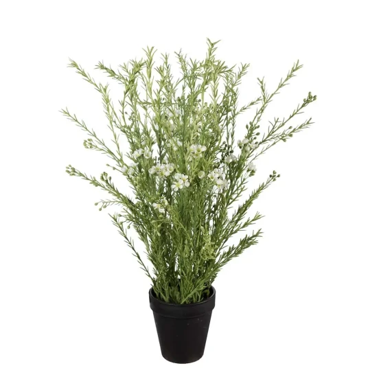 Mr Plant Voksblomst Potteplante 55 cm Rosa Mr Plant Voksblomst Potteplante 55 cm Rosa
