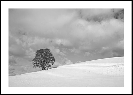 A cloudy winter day Plakat Plakat / 30x40cm
