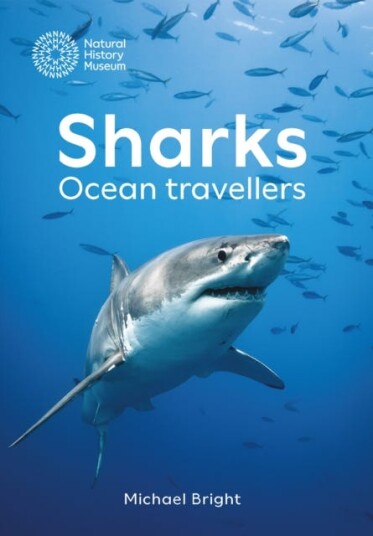 Sharks  Ocean Travellers