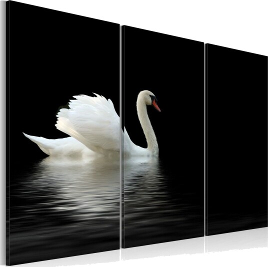 Bilde A Lonely White Swan 60x40 Artgeist sp. z o. o.