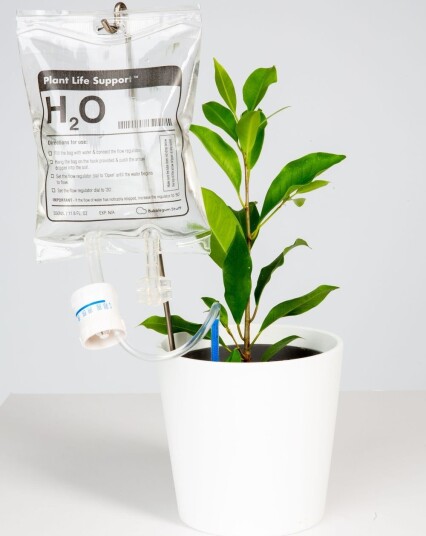 Plante Life Support Selvvanning til Planter