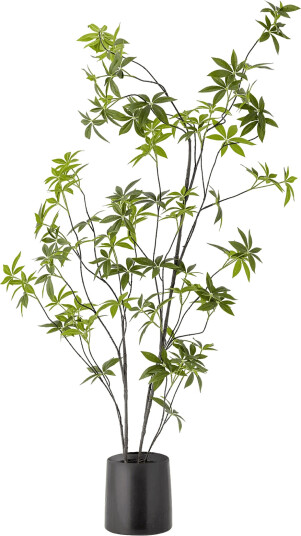 Bloomingville Palmatum Plant   Green   Ø 17 CM