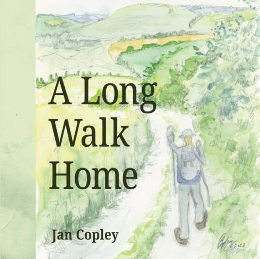 A Long Walk Home A Long Walk Home