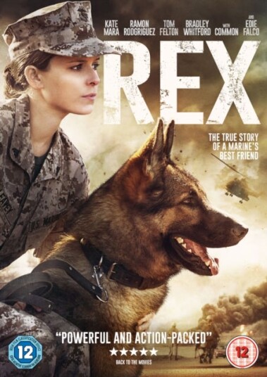 Rex DVD Rex DVD