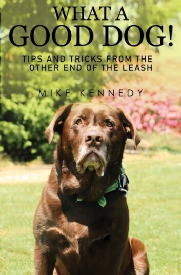 What a Good Dog! Tips and Tricks from the Other End of the Leash. What a Good Dog! Tips and Tricks from the Other End of the Leash.