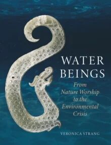 Water Beings Av Veronica Strang Water Beings Av Veronica Strang