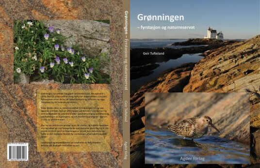 Grønningen Av Geir Tufteland