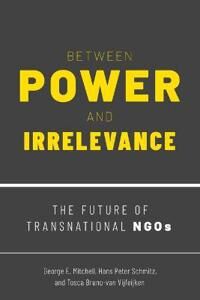 Between Power And Irrelevance Av George E. (Associate Professor Associate Professor Marxe School Of Public And International Affairs At Baruch College