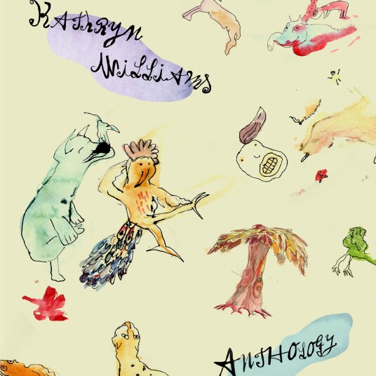 Kathryn Williams Anthology Boxset CD