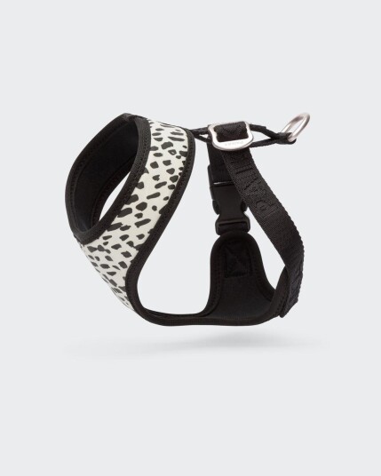 Paikka Mesh Hundesele 2.0 Xxs