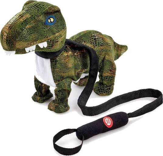 Happy Pets Dance with Me Dinosaur
