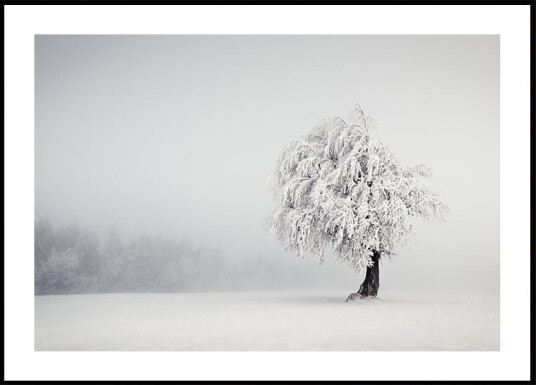 Silence Plakat Plakat / 100x150cm