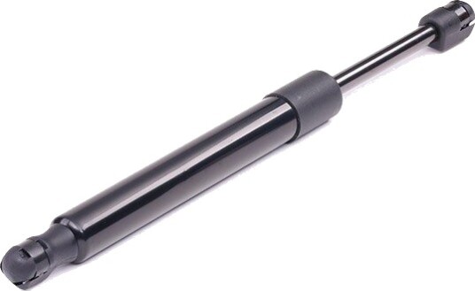 RIDEX 219G0251 Baklukedemper