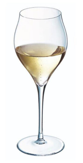 Exaltation champagneglass 30 cl 2 stk