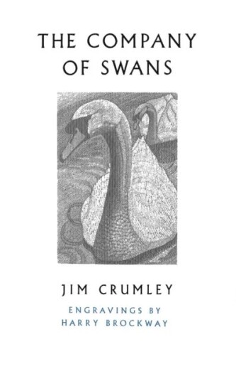 The Company Of Swans Av Jim Crumley