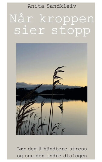 Når Kroppen Sier Stopp Av Anita Sandkleiv