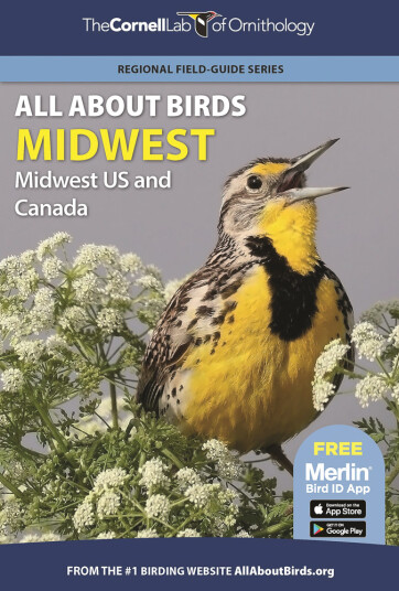 All About Birds Midwest: Midwest US and Canada All About Birds Midwest: Midwest US and Canada