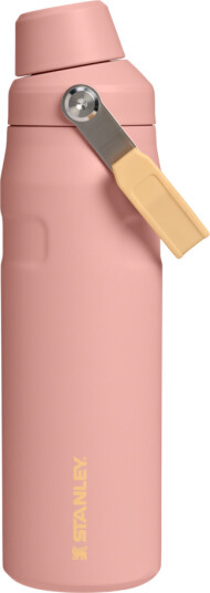 Stanley Aerolight Iceflow