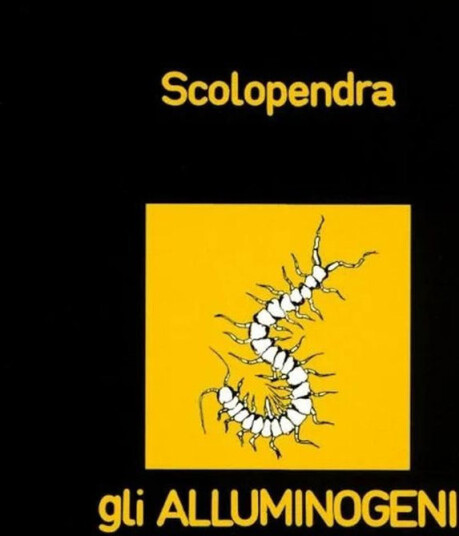 Scolopendra