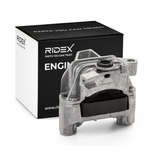 Motorfeste RIDEX 247E0680