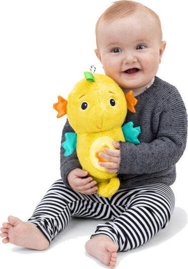 Baby Einstein Yellow Sea Dreams Seahorse™ Plush Soother Baby Einstein Yellow Sea Dreams Seahorse™ Plush Soother