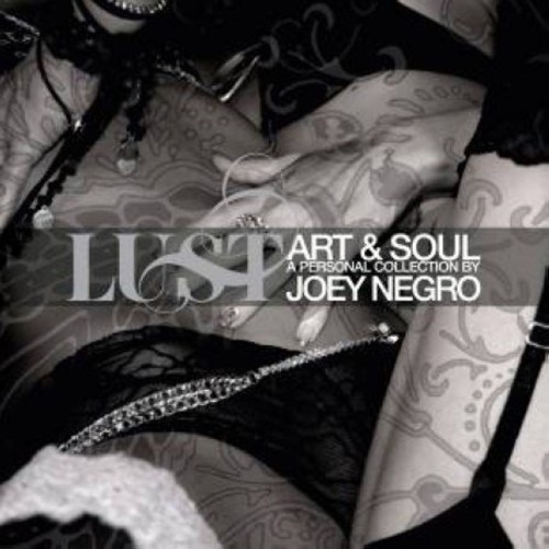 Diverse Artister Lust: Personal Collection By Joey Negro CD