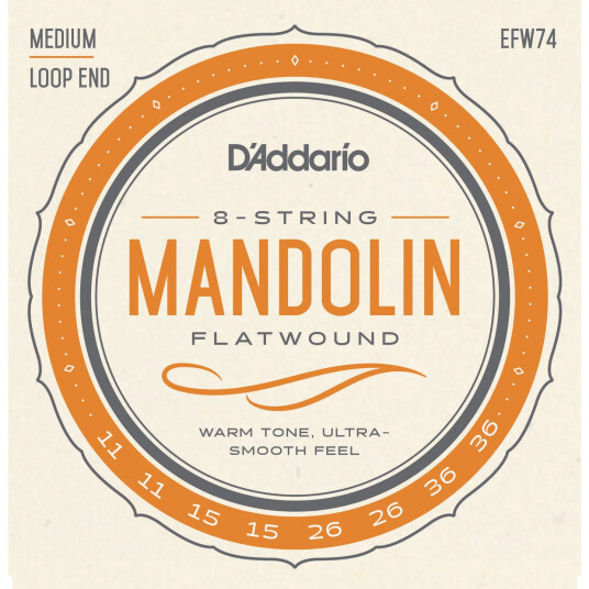 D'Addario Efw74