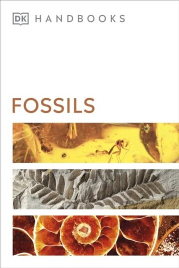 Fossils Av Dk, David Ward