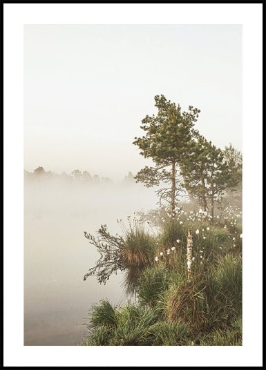 Foggy Summer Morning Plakat Plakat / 21x30cm