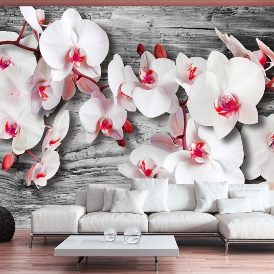 Fototapet Callous Orchids 400x280 - Artgeist sp. z o. o.