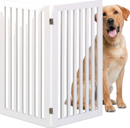 Rxs Frittliggende Hundegjerde