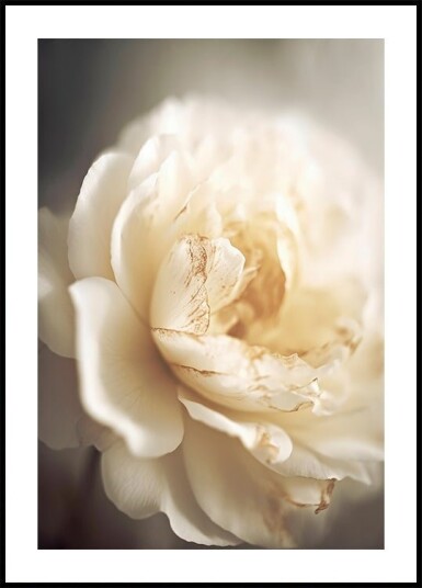 Ethereal Bloom Plakat / 50x70cm