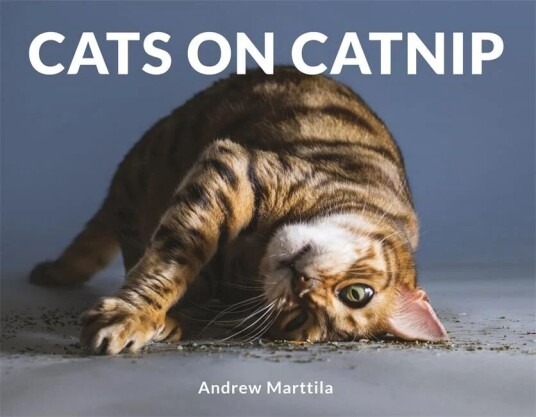 Cats On Catnip Av Andrew Marttila